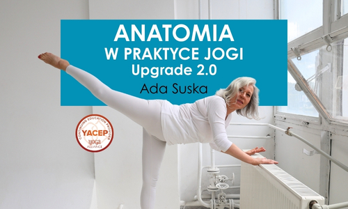 Kurs nauczycielski Anatomia w praktyce jogi: Upgrade 2.0