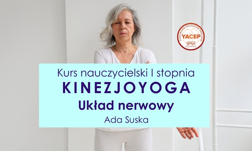 Kurs nauczycielski I stopnia Kinezjoyoga -  układ nerwowy